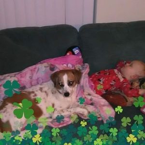 Meet your Posher, Carolyn